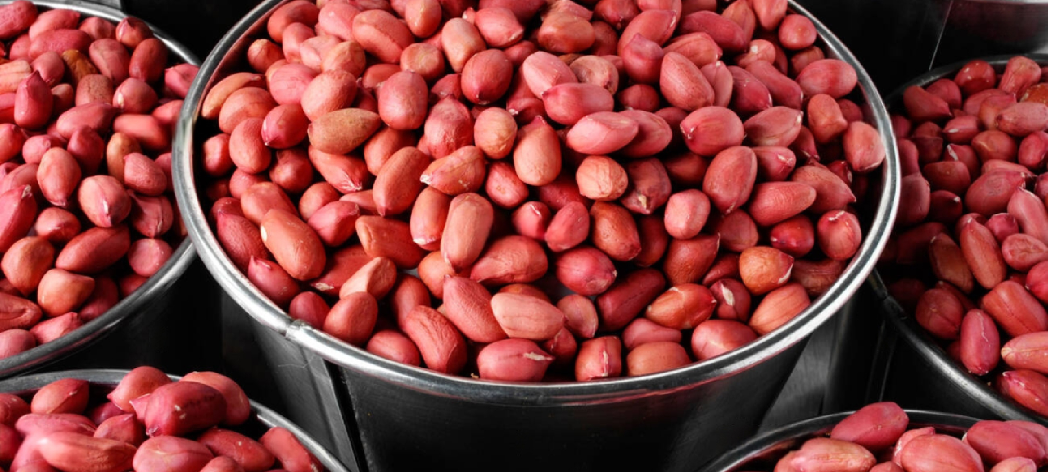 Quality groundnuts supplied for food processing and wholesale distribution.
