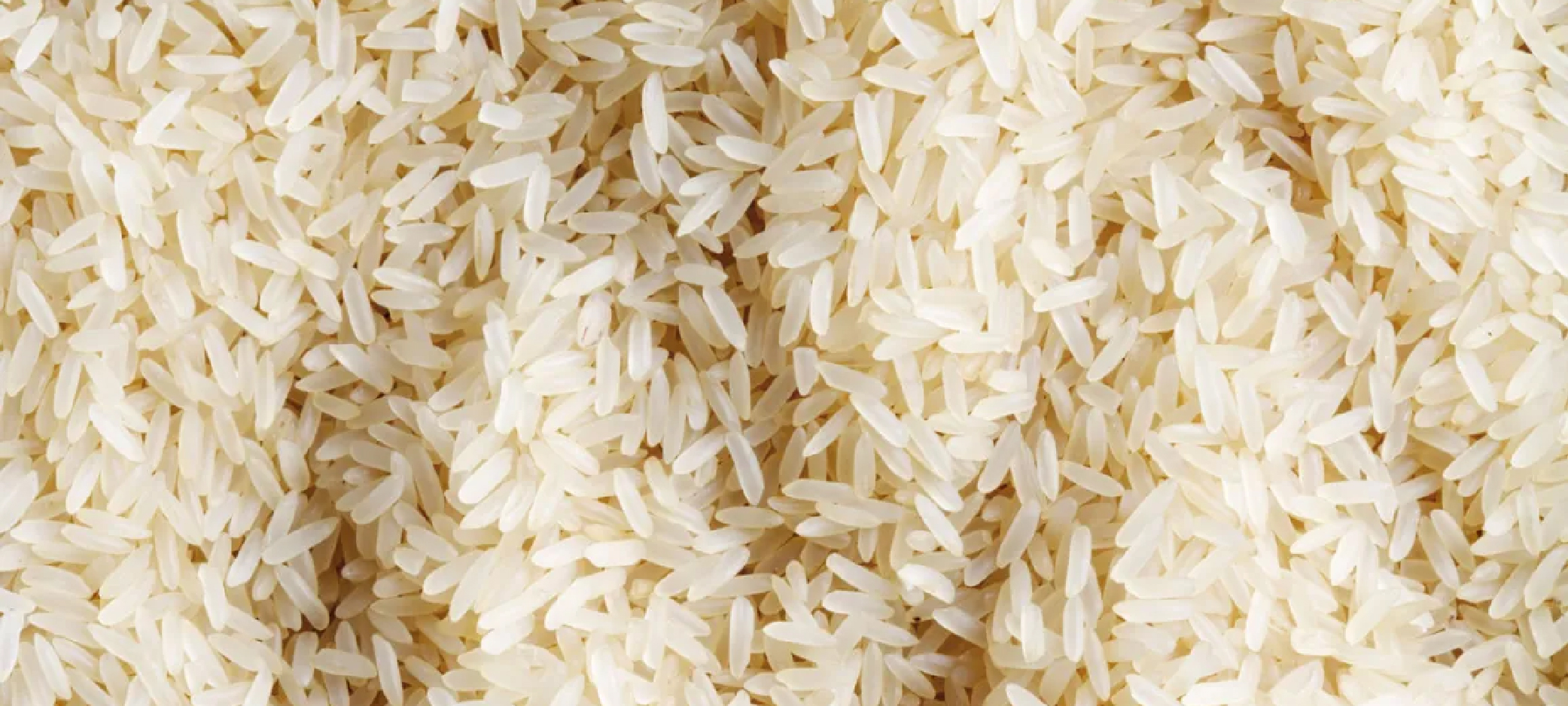 Long grain and parboiled rice supplied to wholesalers, retailers and institutional buyers